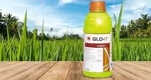 Syngenta Glo-It Fungicide