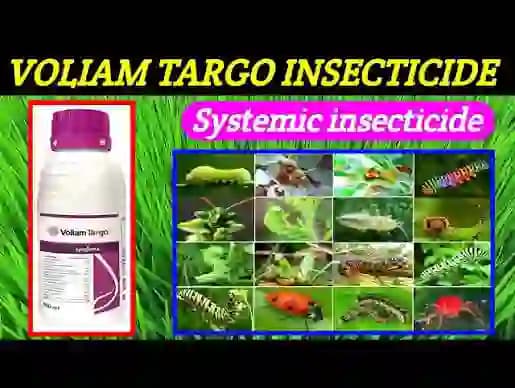 Syngenta Voliam Targo Insecticide