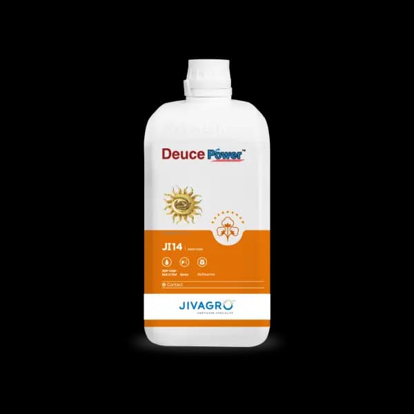 Jivagro Deuce Power