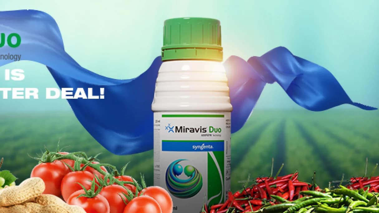Syngenta Miravis Duo