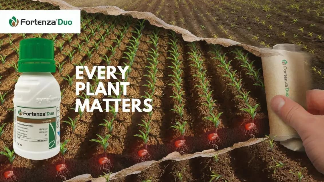 Syngenta Fortenza Duo