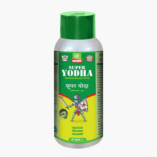 Multiplex Super Yodha