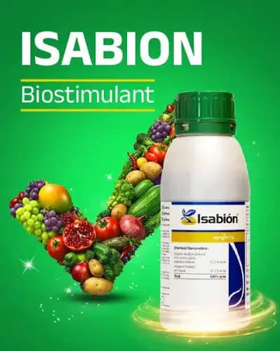 Syngenta Isabion Biostimulant