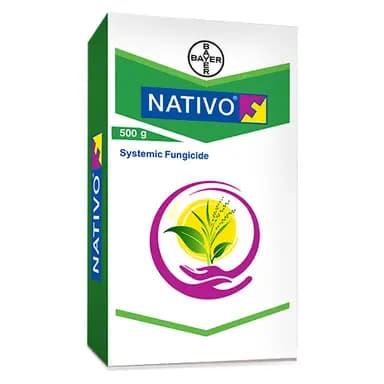 Bayer Nativo Fungicide