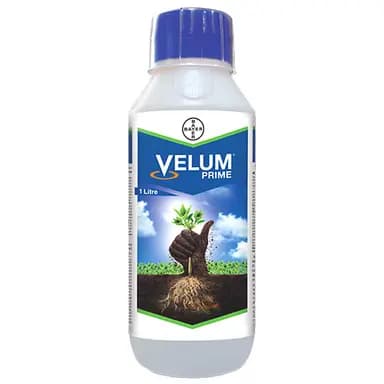 Bayer Velum Prime Insecticide