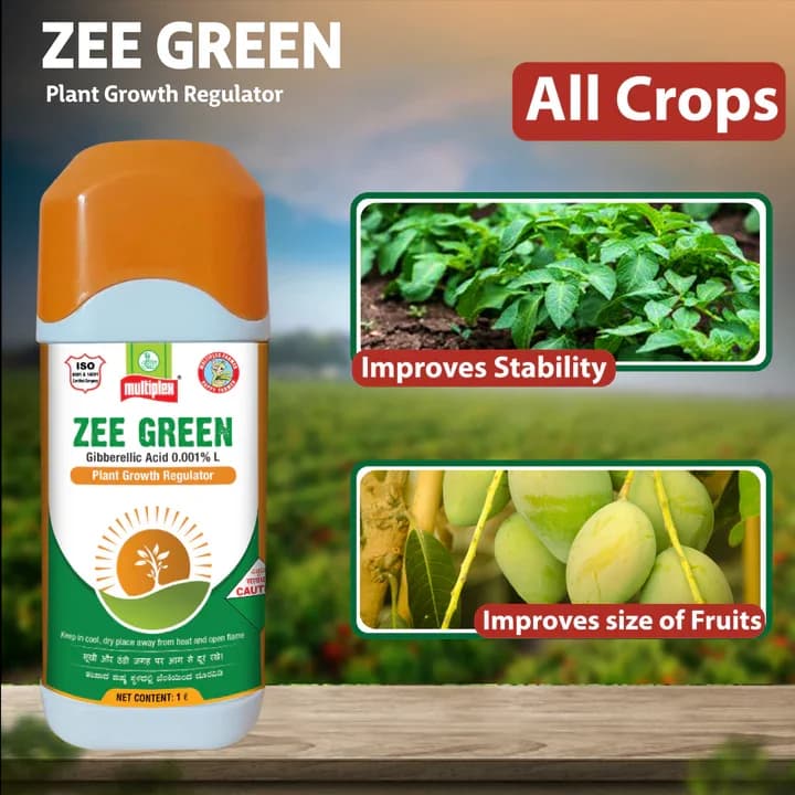 Multiplex Zee Green